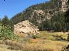 Cove Campground