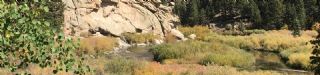 Cove Campground at 11 Mile Canyon 